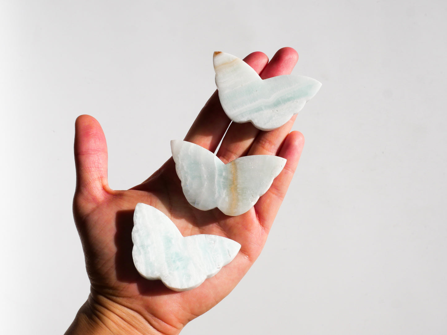 Caribbean Calcite Butterfly