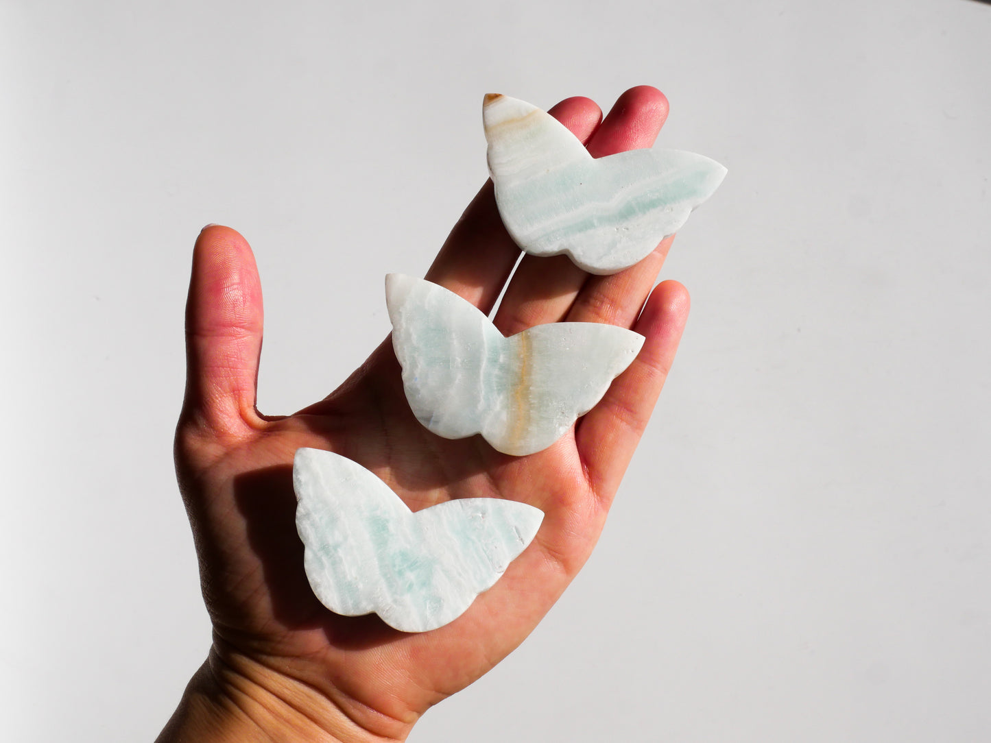 Caribbean Calcite Butterfly