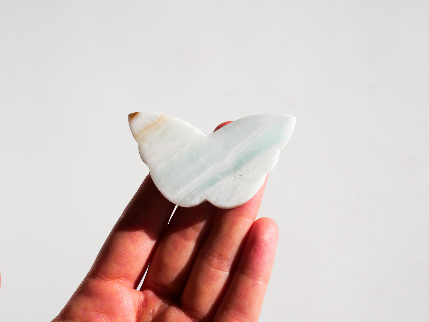 Caribbean Calcite Butterfly