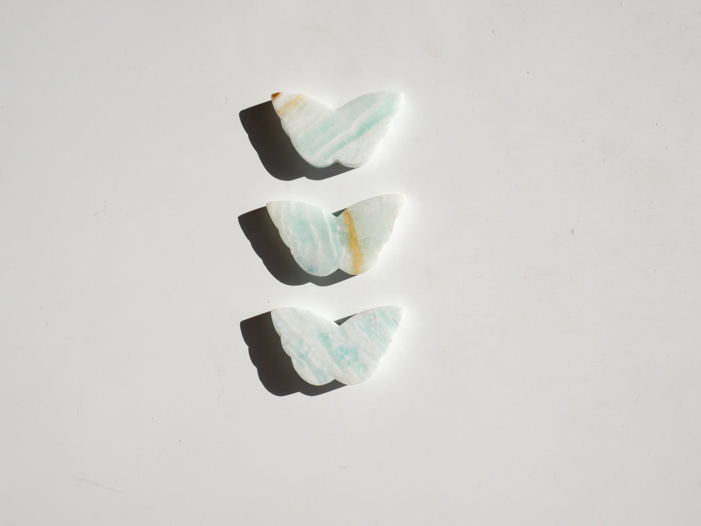 Caribbean Calcite Butterfly